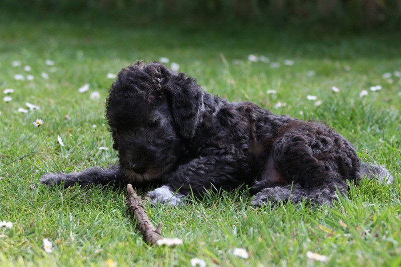 Arc-en-ciel Antares 2009-06-30 (23).JPG